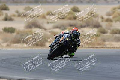 media/May-14-2023-SoCal Trackdays (Sun) [[024eb53b40]]/Turn 5 Tree of Life (1125am)/